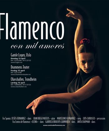 flamenco 1